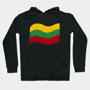 The flag of Lithuania Hoodie